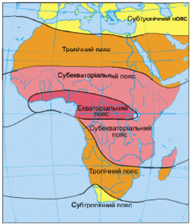 0900c2zx-dbec-269x316.png