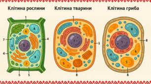 "Структурно-функціональна різноманітність клітин" Тест 9 клас