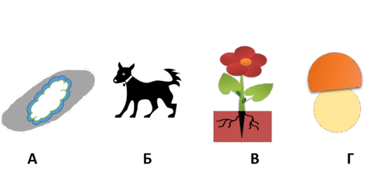 0900c354-26a1-526x278.png