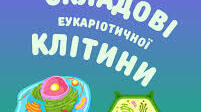 Контрольна робота "Структура еукаріотичної клітини. Обмін речовин та енергі"ї
