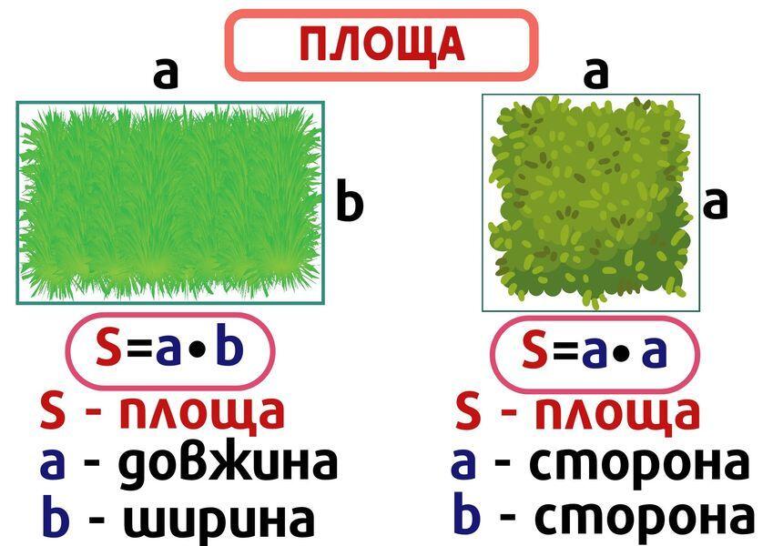 0900c4c8-8631-849x600.jpg