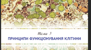 «Принципи функціонування клітини»