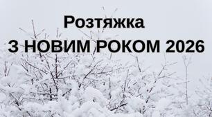 Розтяжка З НОВИМ РОКОМ 2026