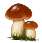 0900c5ba-c435-147x151.png