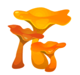 0900c5cz-2ed7-160x151.png