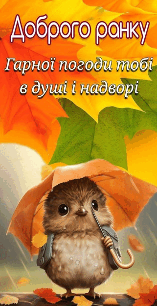 0900c5k2-a9ba-321x623.png