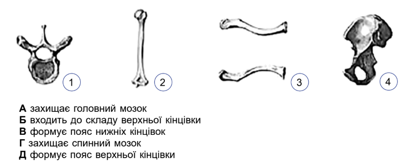 0900c60h-4de8-839x335.png
