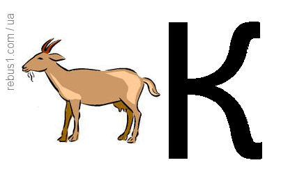 0900c6dv-fd6c-403x260.png