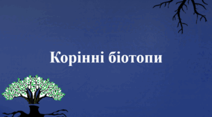 Корінні біотипи