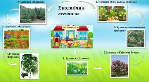 Екологічна стежина для дітей дошкільного віку (конспекти прогульнок)