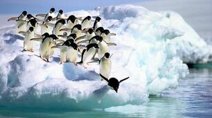 Цікаве для допитливих