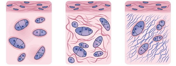 0900cc7n-906b-582x220.png
