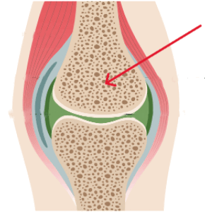 0900ccc9-3d6c-290x300.png