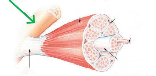 0900ccdf-8f39-537x261.png