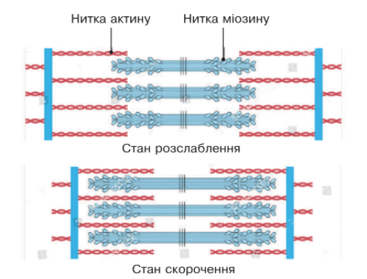0900cced-e3d3-516x393.png