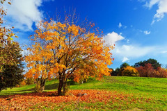 0900cedi-54ca-240x160.jpg