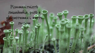 Різноманітність лишайників, роль в екосистемах і житті людини.