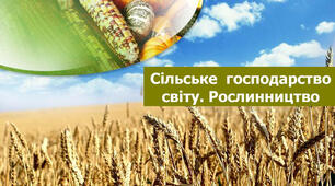 Рослинництво світу