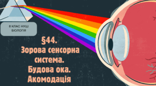 Презентація  до уроку  «§44. Зорова сенсорна система. Будова ока.  Акомодація»  8клас  НУШ