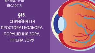 Презентація  до уроку  «§45.Сприйняття простору і кольору. Порушення зору. Гігієна зору»   8клас НУШ