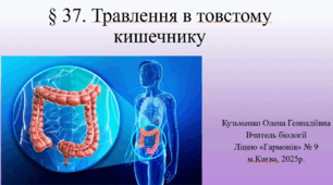 § 37. Травлення в товстому кишечнику