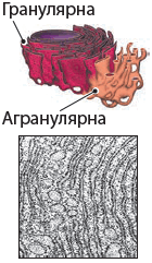 0900ckl9-9b74-250x430.png