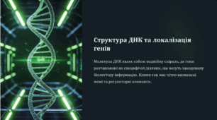 Гени та геноми. Будова генів та основні компоненти геномів про- та еукаріотів