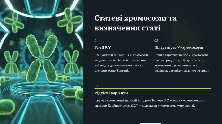 0900cmui-037c-940x525.png