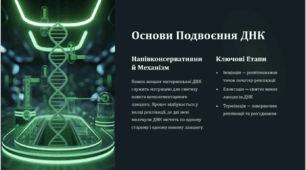 Подвоєння ДНК та Репарація Пошкоджень: Захист Генетичної Інформації