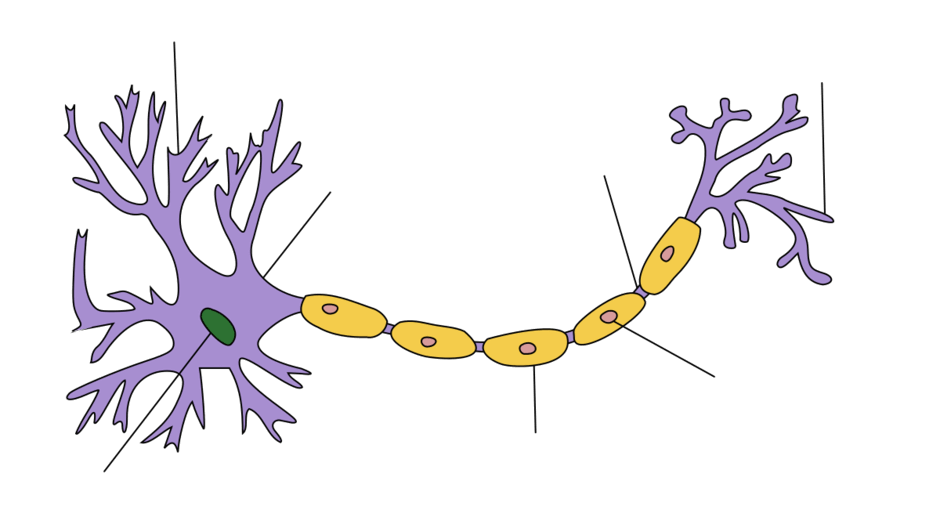0900cndc-a237-940x506.png