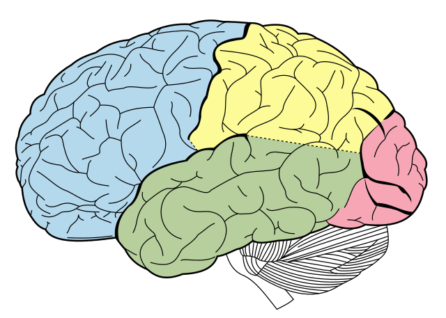 0900cnem-8d9e-640x457.png