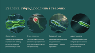 Одноклітинні еукаріоти: дивовижний світ найпростіших