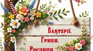 Підсумкова робота « Жива природа"