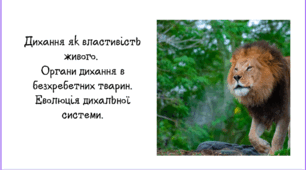 Дихання як властивість живого.  Органи дихання в безхребетних тварин. Еволюція дихальної системи.
