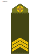 0900cplx-4629-127x176.png
