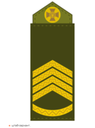0900cpo6-abc8-134x180.png