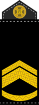 0900cpr8-e242-77x208.png