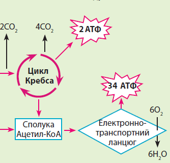0900cq9g-a83e-334x320.png