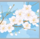 0900cqad-987c-141x139.png