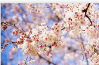 0900cqag-5d57-348x228.png