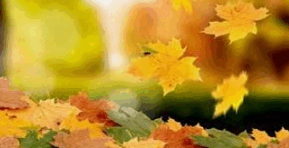 0900cqai-c29b-319x163.png
