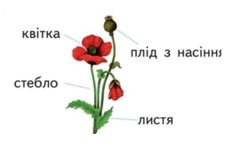 0900cqbb-f2fb-449x304.png