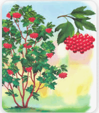 0900cqbi-d83e-199x228.png
