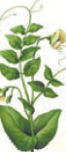 0900cqby-c6e5-129x297.png