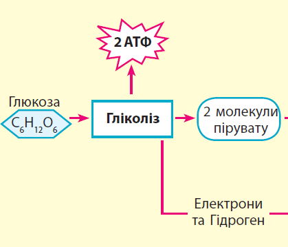 0900cqcz-2b4e-419x359.png