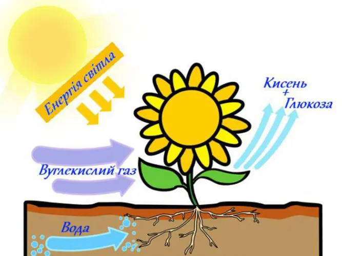 0900cqhb-79ae-667x500.jpg