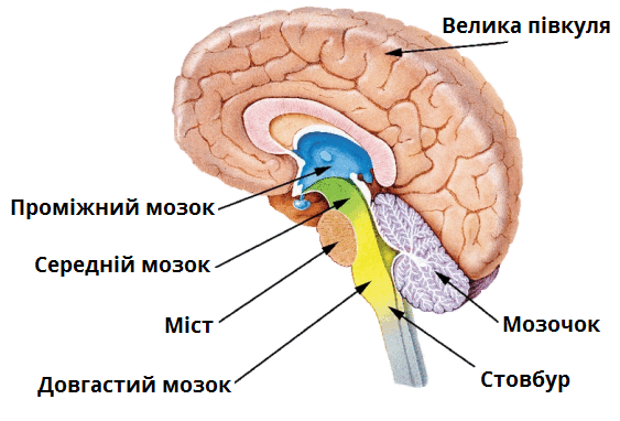 0900cuuk-fa87-563x382.png