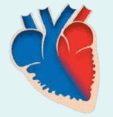 0900cwyp-00df-113x117.png