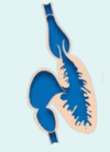 0900cwz0-e280-100x138.png