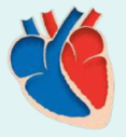 0900cwz5-2515-117x127.png